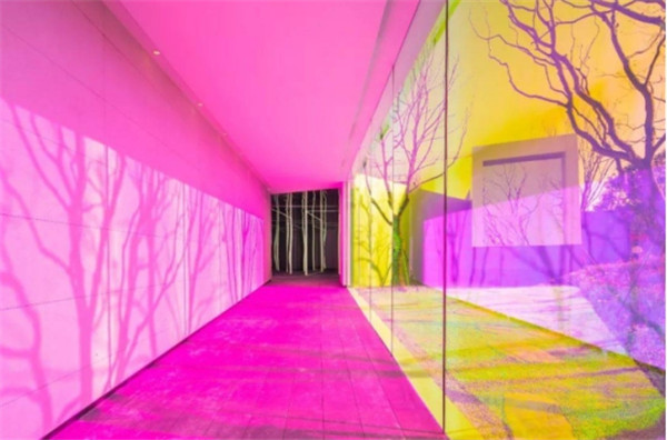 1619167293681624.jpg 中珩4.3.1.5.jpg